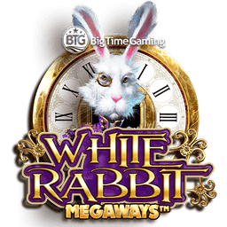 White Rabbit_V4 DNT