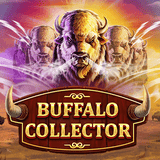 Buffalo Collector DNT