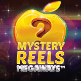 Mystery Reels Megaways DNT
