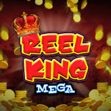 Reel King Mega DNT
