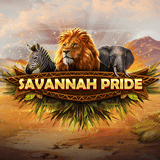 Savannah Pride DNT