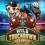 Wild Touchdown MegaWays DNT