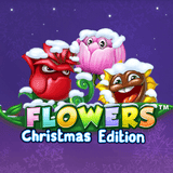 Flowers Christmas Edition DNT