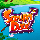 Scruffy Duck DNT