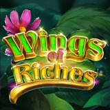 Wings of Riches DNT