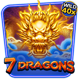 7 Dragons