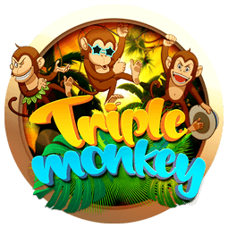 Triple Monkey