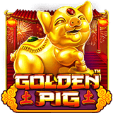 Golden Pig