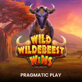 Wild Wildebeest Wins